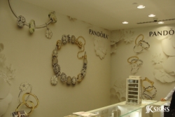 Pandora Wallpaper Installed in Mississauga
